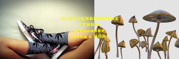 гидропоника Киренск