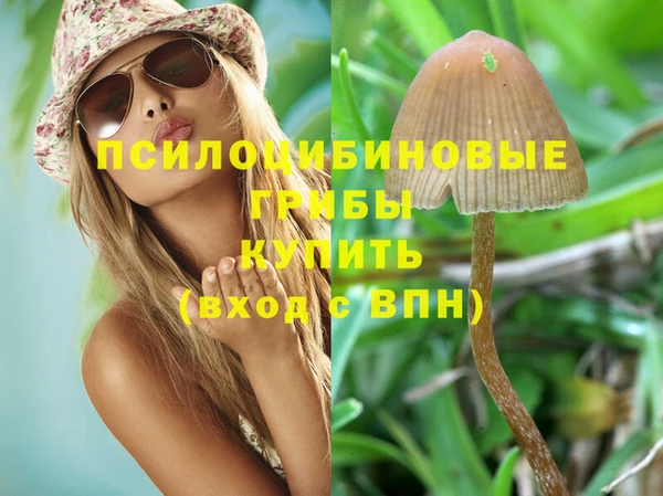 стаф Кинешма