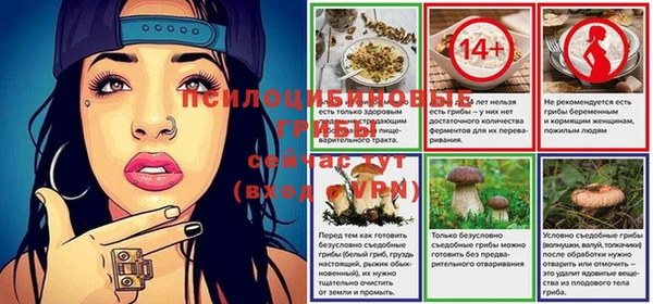 стаф Кинешма