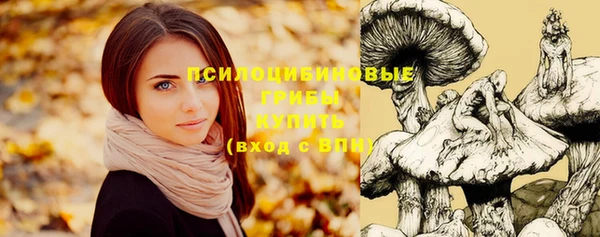 стаф Кинешма