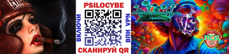 Галлюциногенные грибы Psilocybe  Купить где  Балабаново 